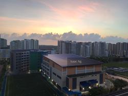 Blk 615B Edgefield Plains (Punggol), HDB 4 Rooms #146510262